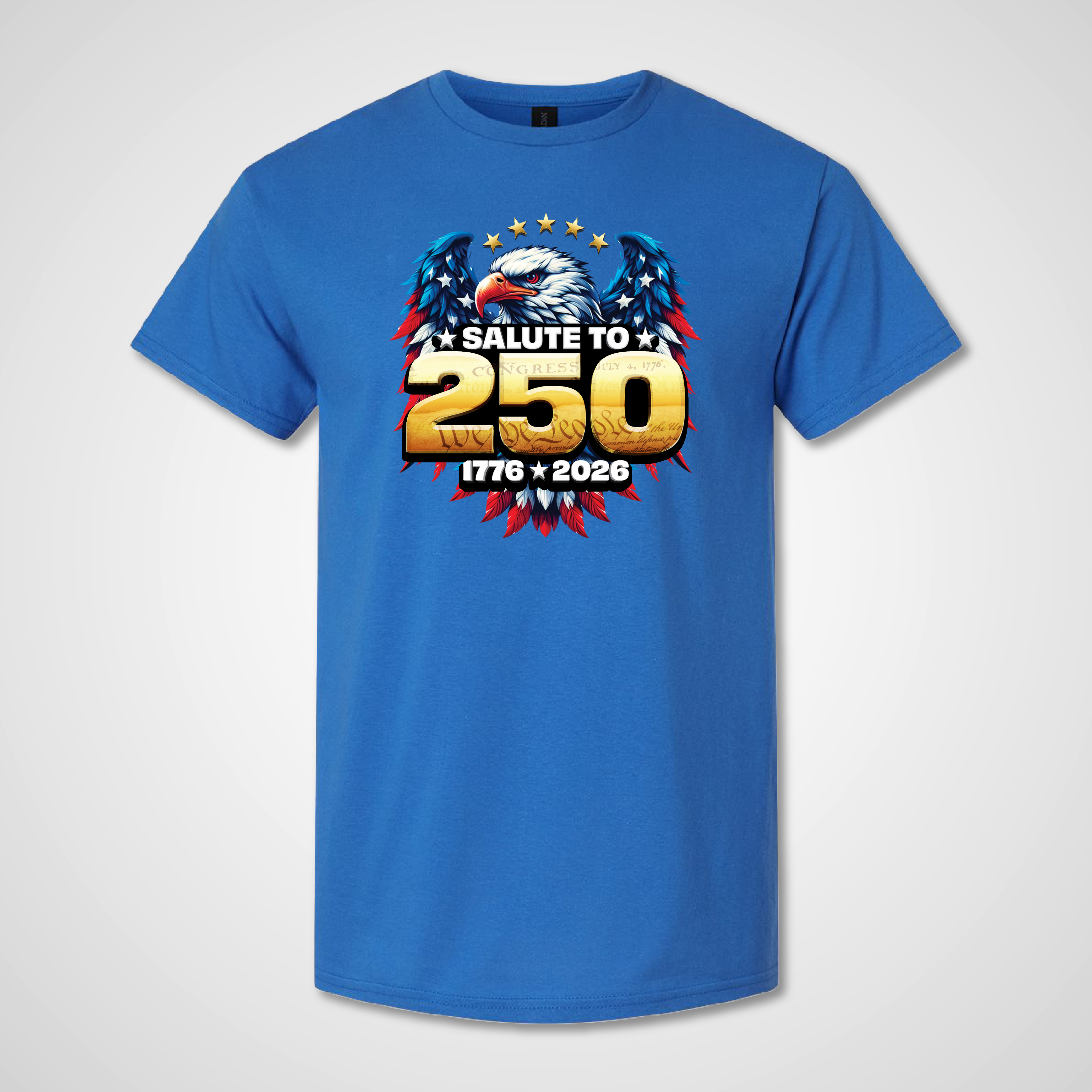 Salute to 250 T-Shirt